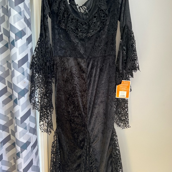 Halloween black widow woman’s costume - Picture 3 of 13